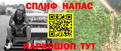 тгк Будённовск