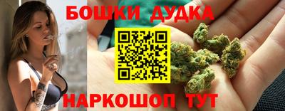 тгк Будённовск