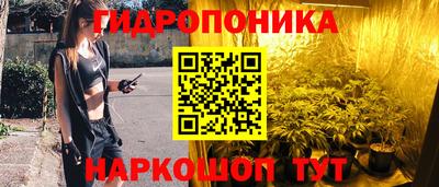 тгк Будённовск