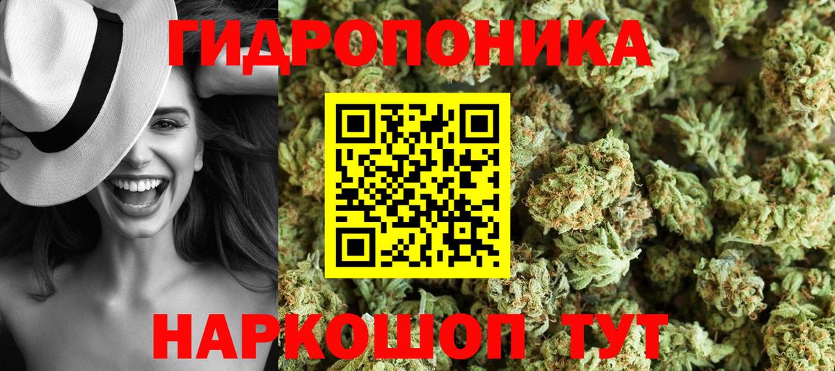Унеча  Марихуана план  Вход с VPN  Шишки марихуана OG Kush 